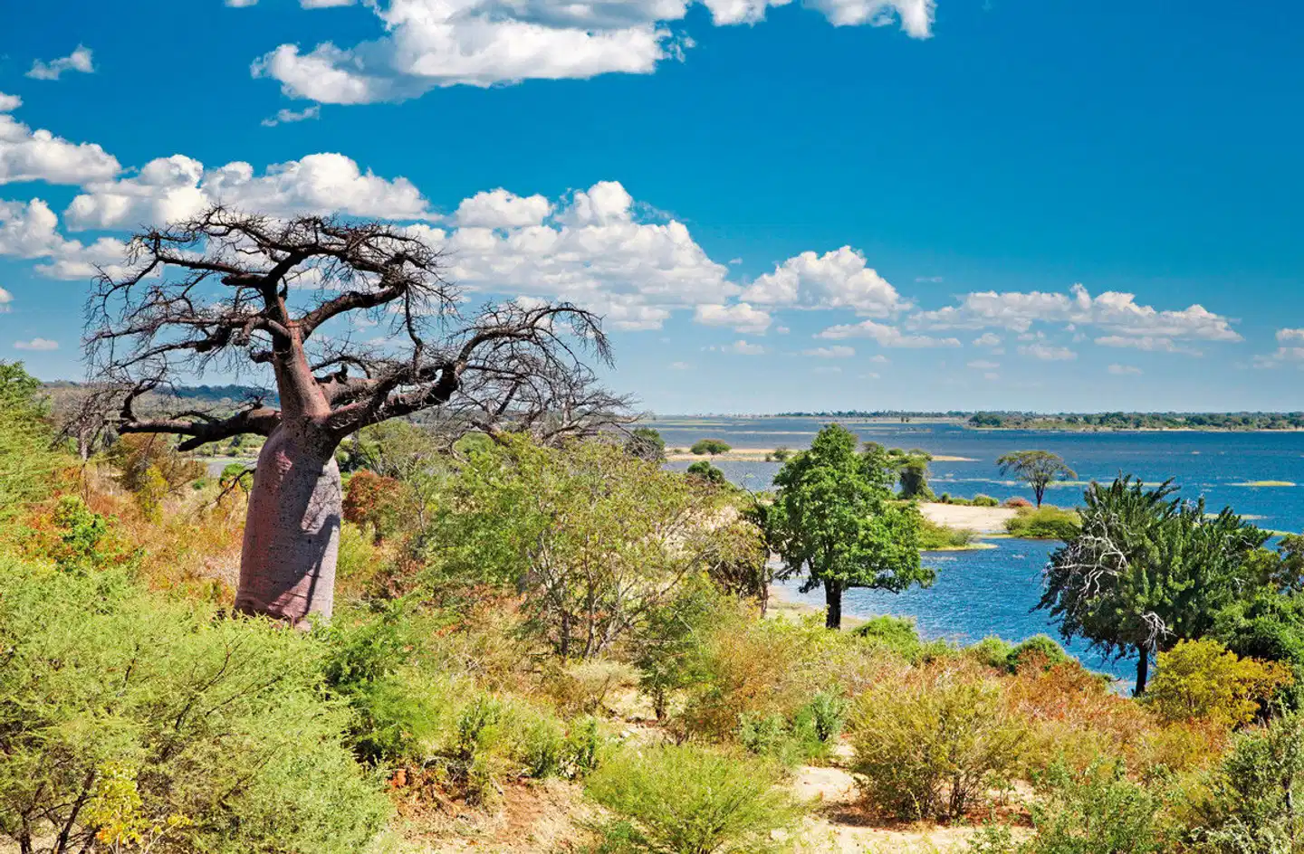 Botswana Kaleidoskop ab Victoria Falls Landschaft