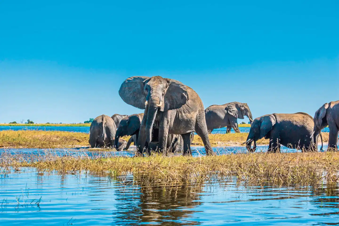 Au cœur de la nature Tiere