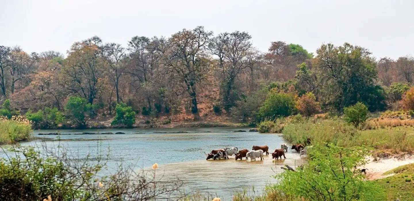 Au cœur de la nature Landschaft