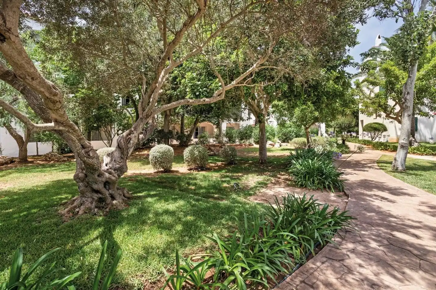 Sol Falcó Menorca Garten