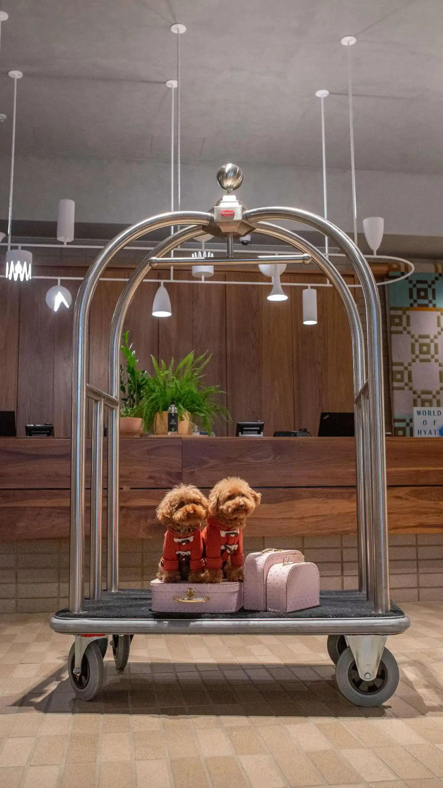 Hyatt Centric Melbourne Lobby