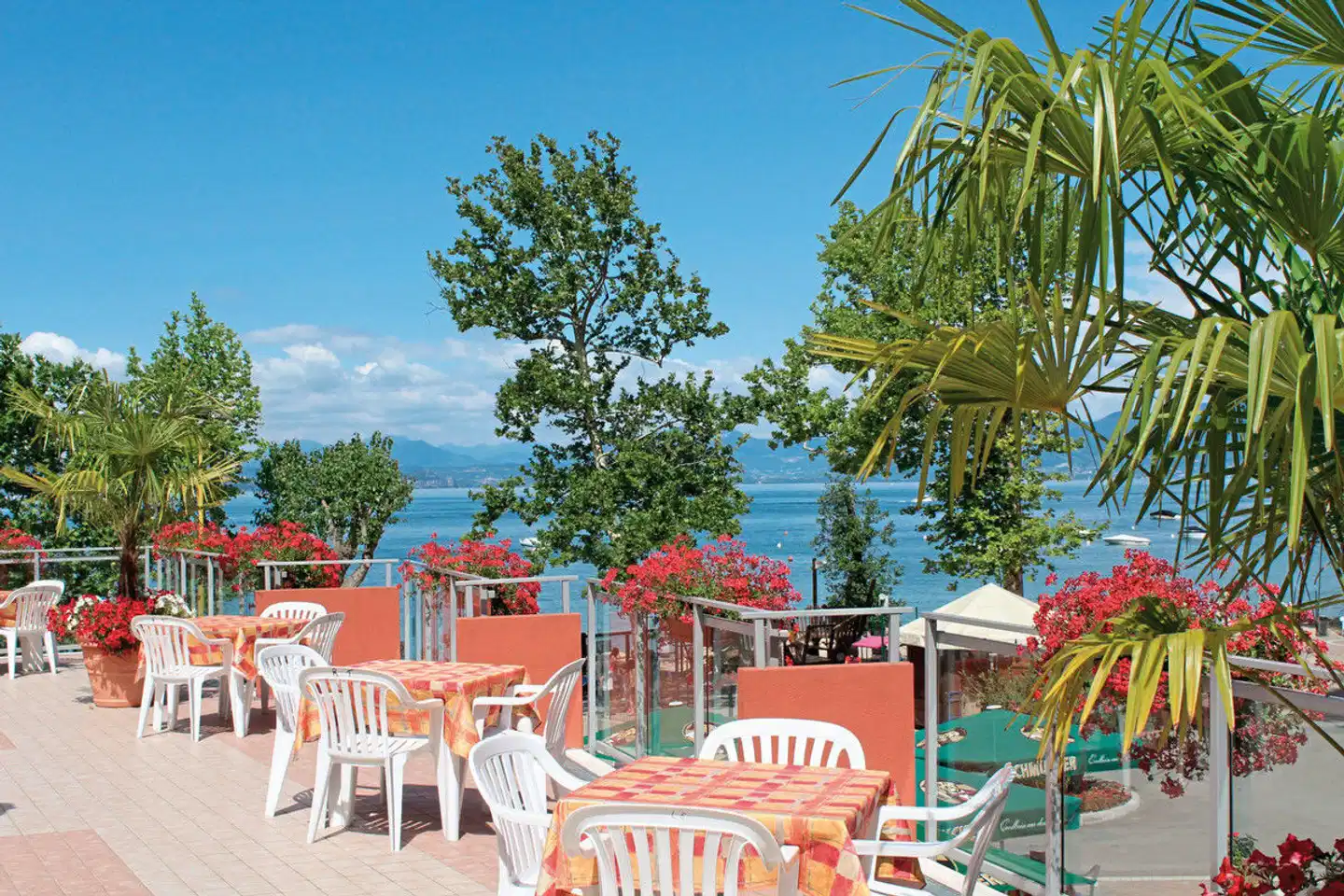 Camping Cisano & San Vito (by Happy Camp) Terrasse