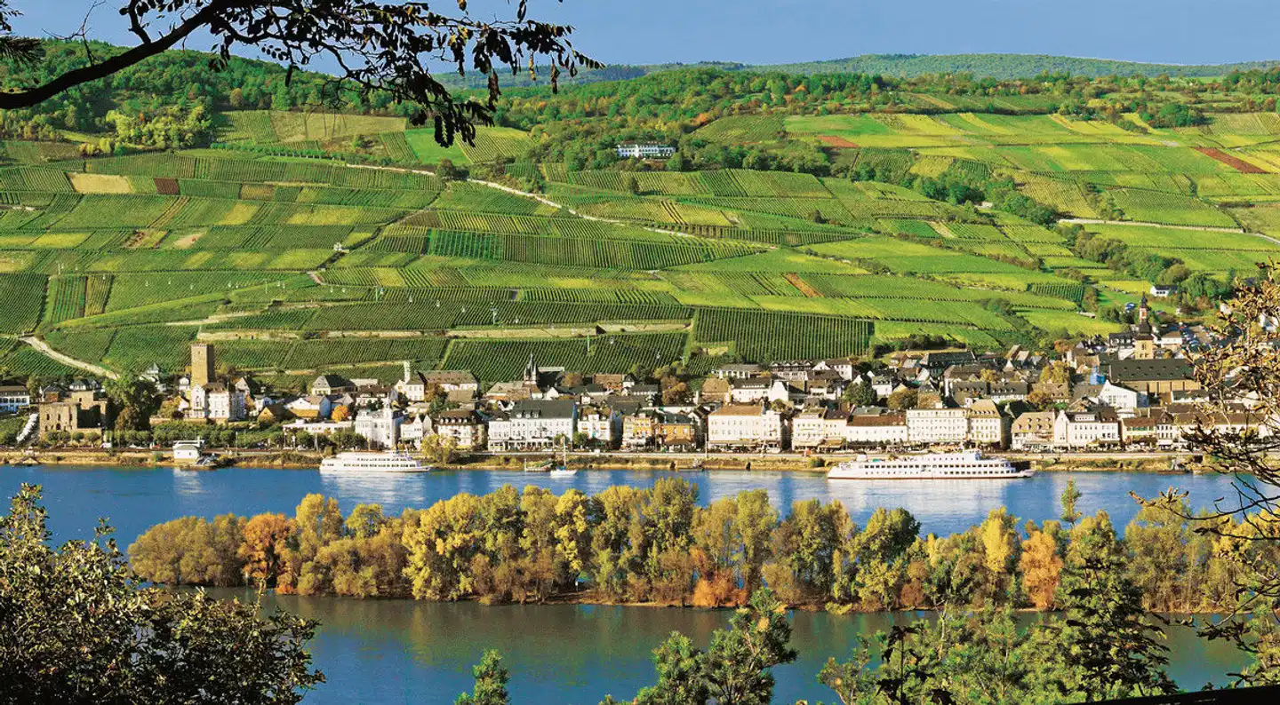 Hotel Traube Rüdesheim Landschaft