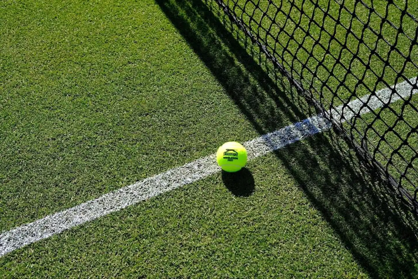 Fattoria Belvedere Tiere