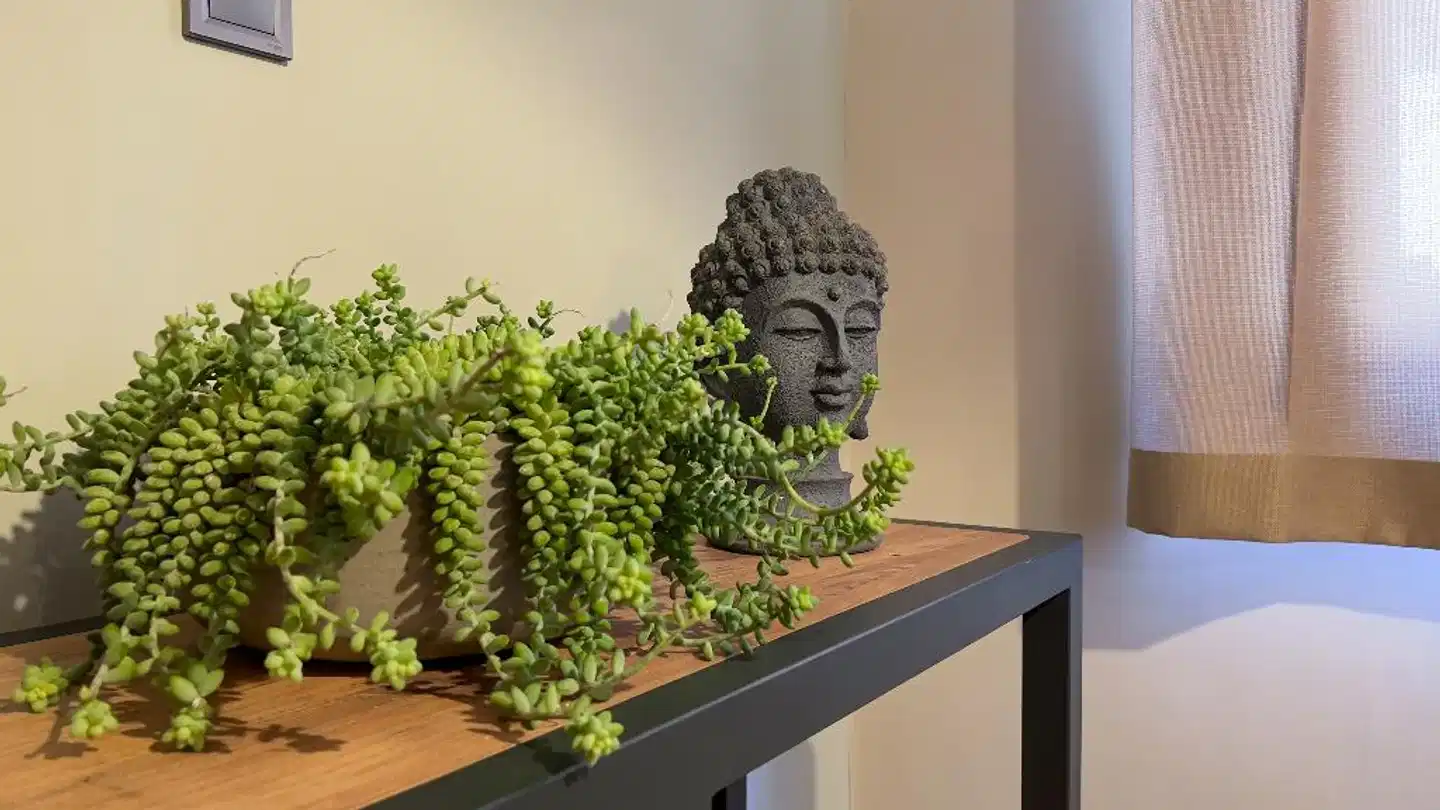 Kale Beach Hotel Garten