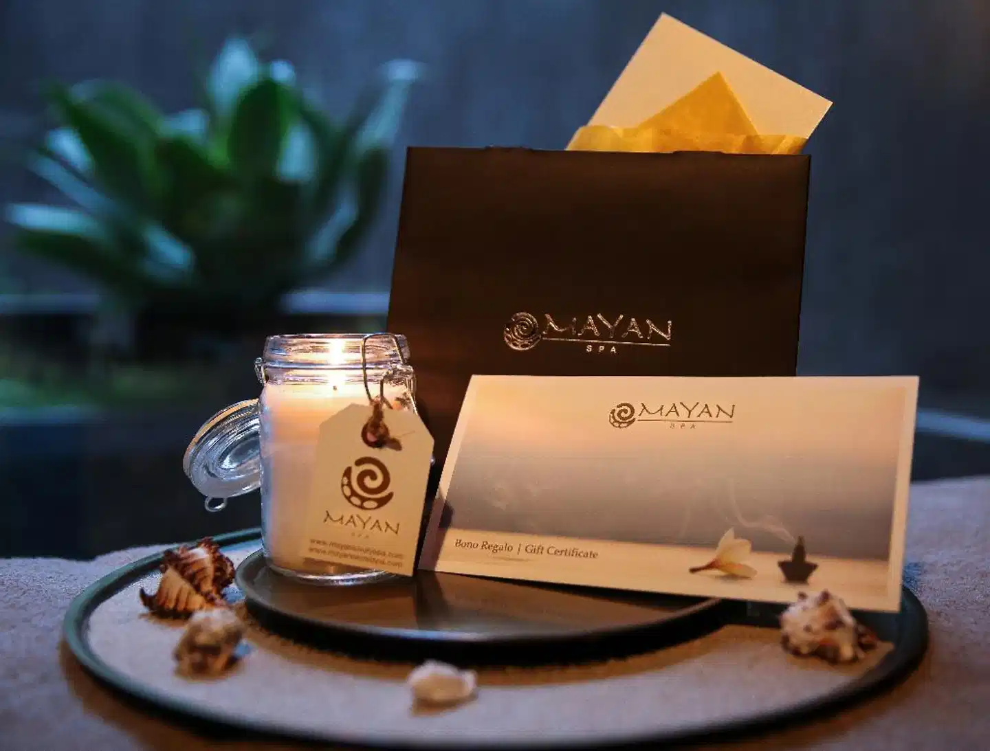 Claris GL Sport und Entertainment