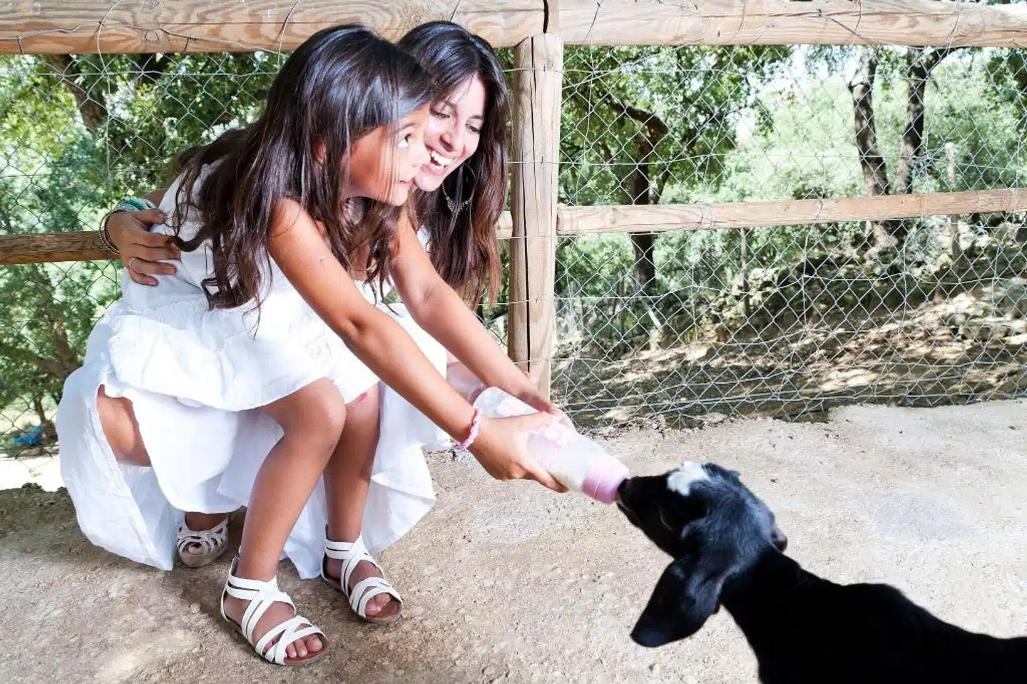 Fuerte Grazalema Tiere