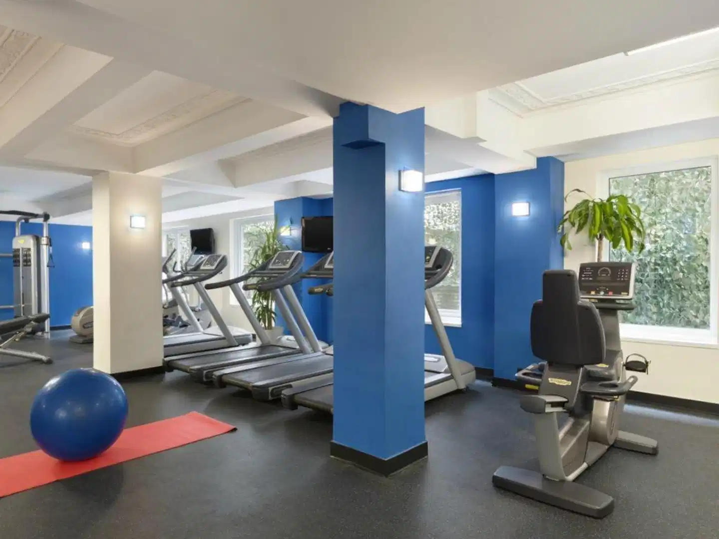 Edison Sport und Entertainment