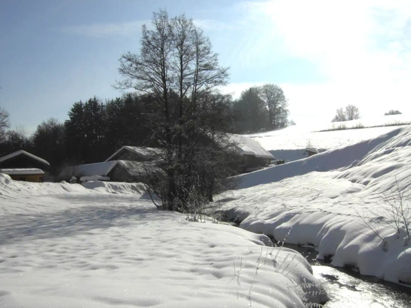 Vital & Wellnesshotel Schürger Landschaft