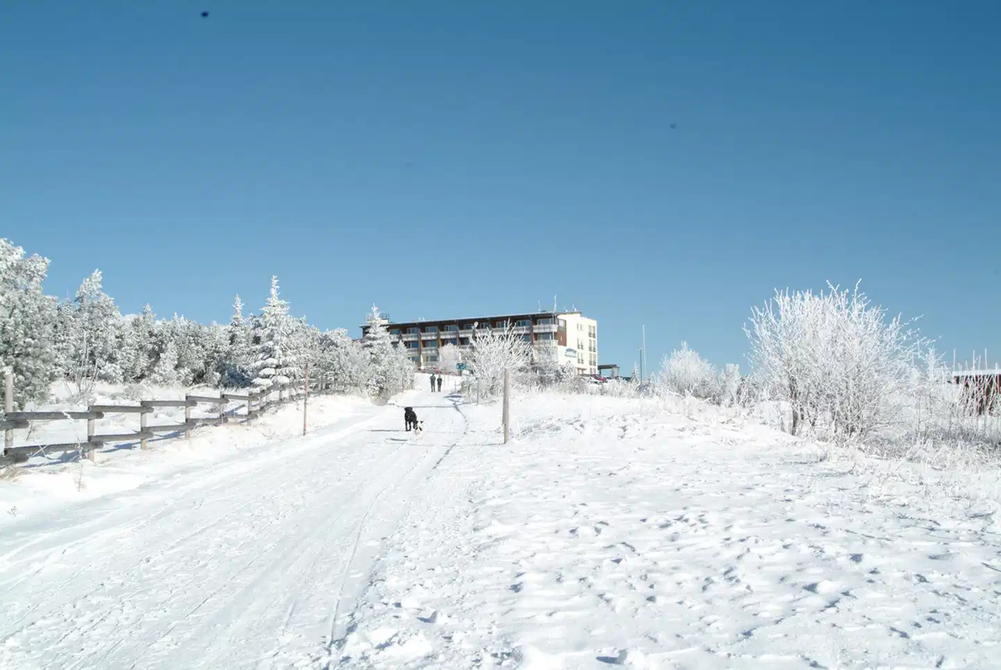 Wellness- & Nationalpark-Hotel Schliffkopf Strand