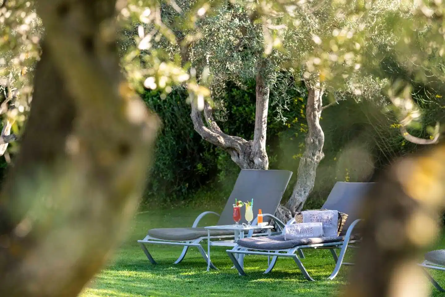 Mas de l'Oulivie Garten