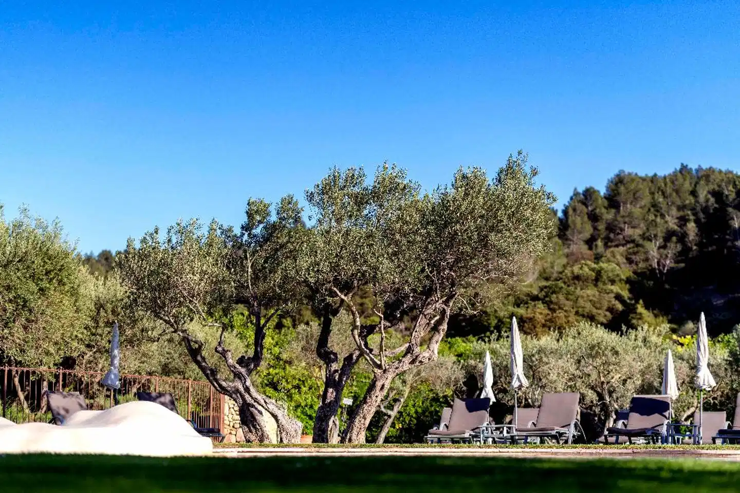 Mas de l'Oulivie Landschaft