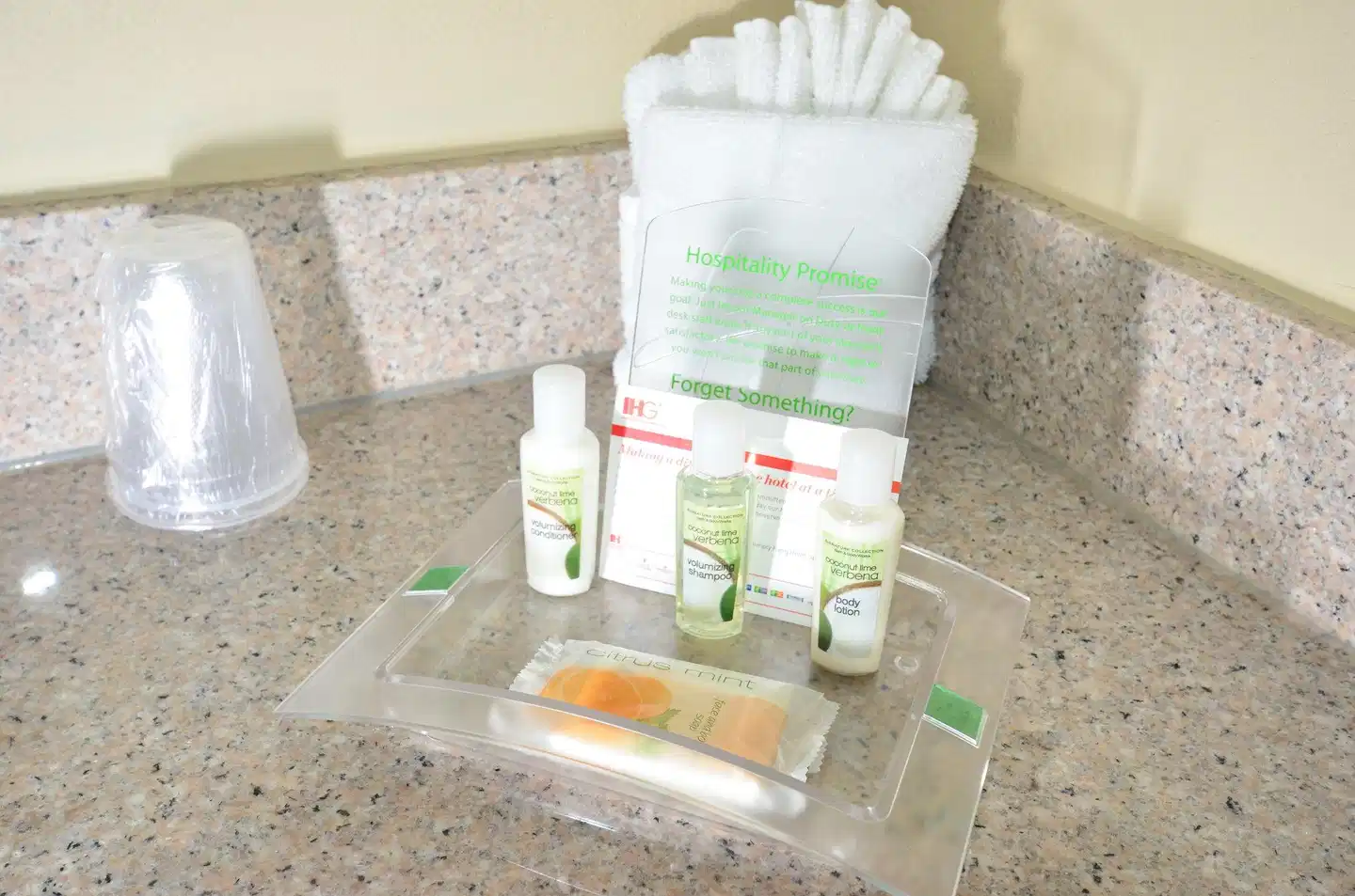 Holiday Inn Orlando East - UCF Area Modellaufnahme