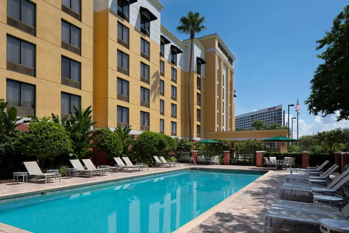 SpringHill Suites by Marriott Tampa Westshore Pool