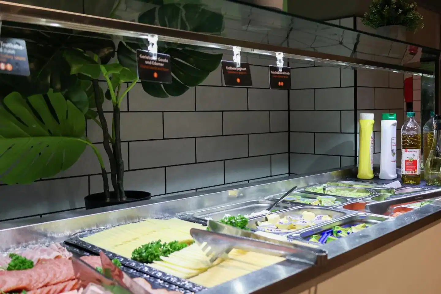 a&o Köln Neumarkt Terrasse