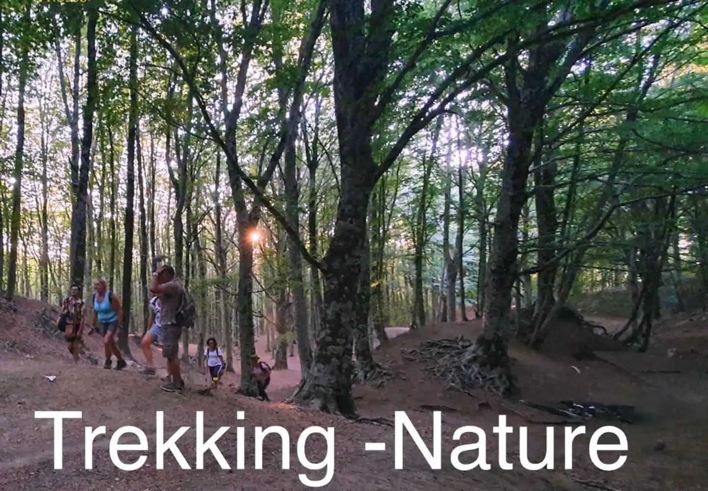 Villa Poseidon Maison De Charme Landschaft