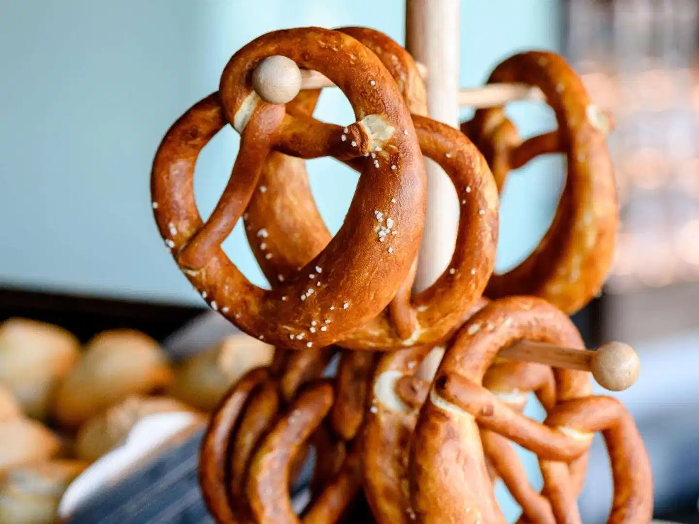 ibis Landshut City Tiere