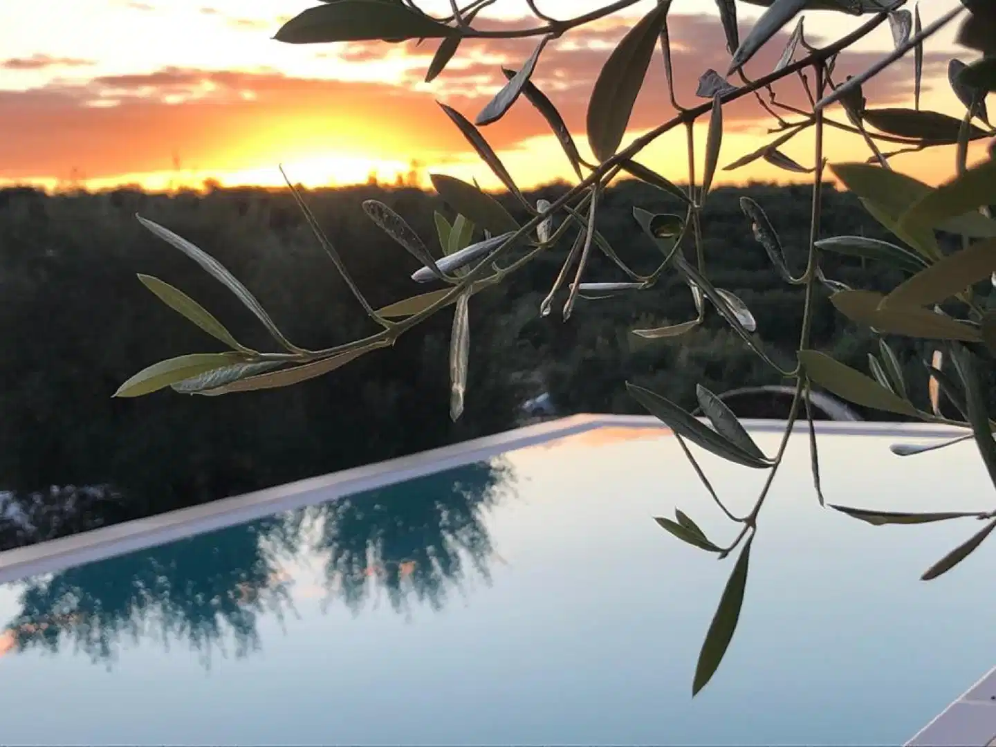 Feudi Mandolivo Hallenbad