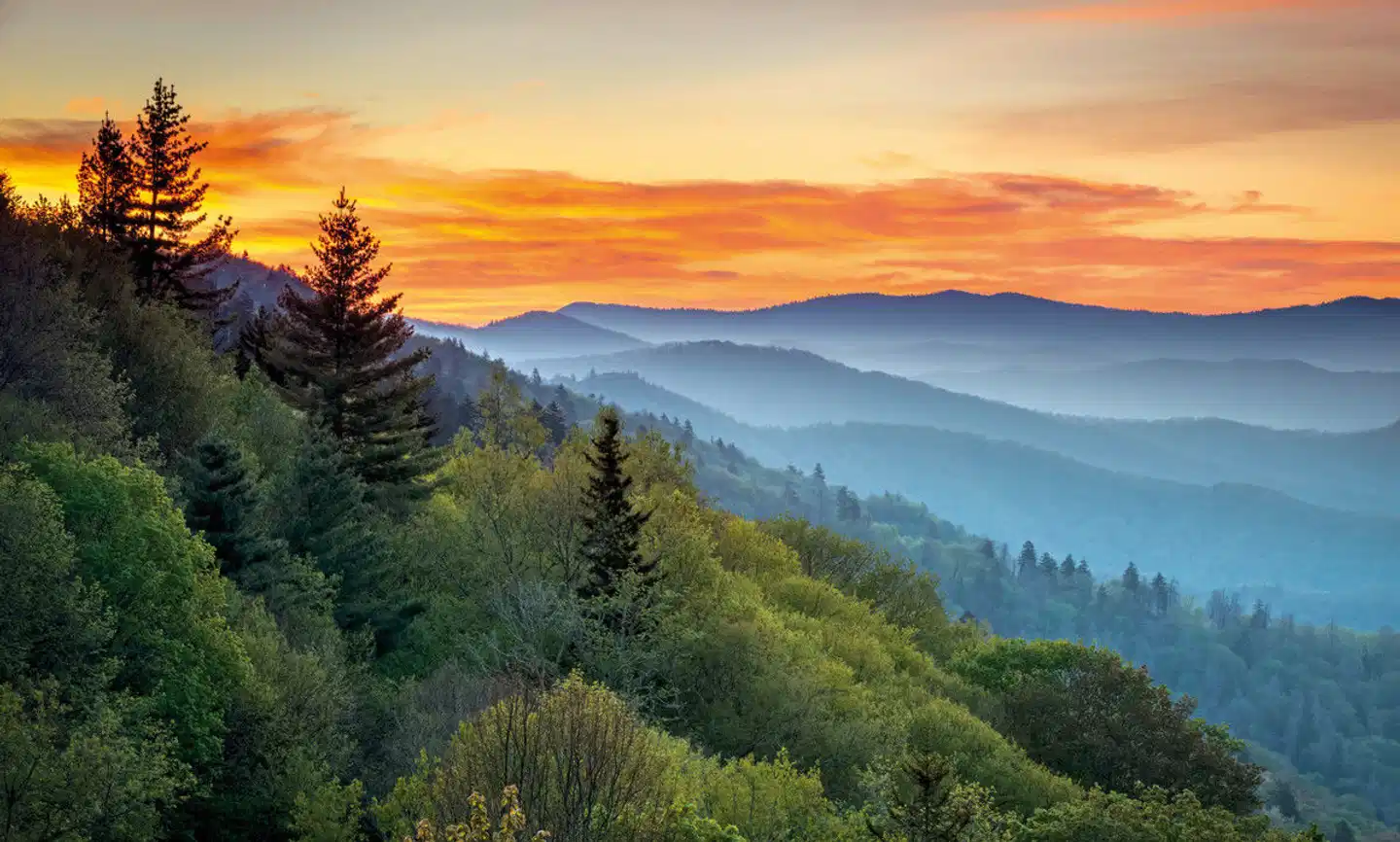 Südstaatenträume Landschaft