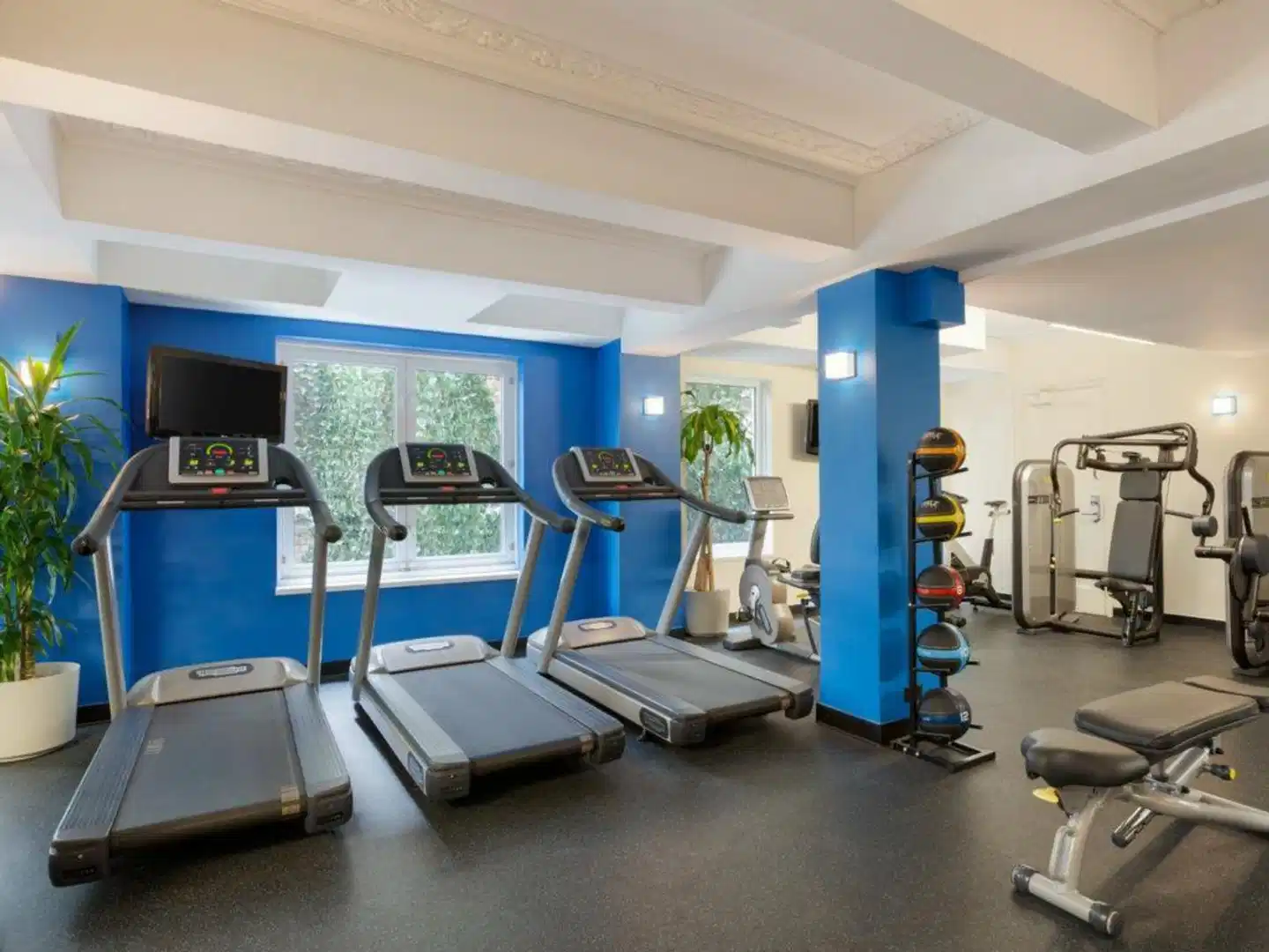 Edison Sport und Entertainment