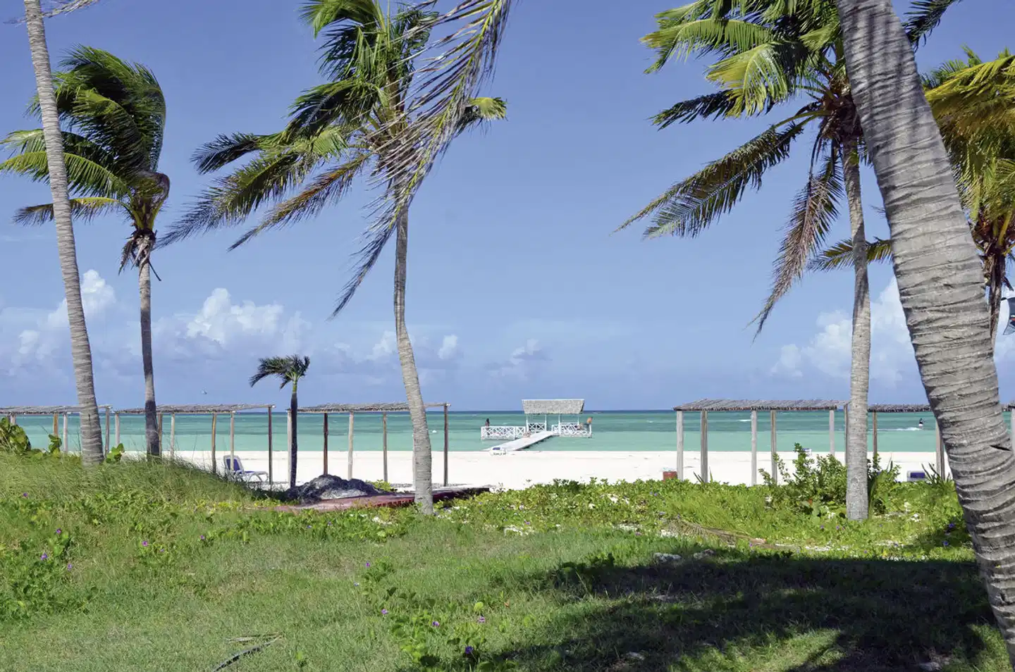 Starfish Cayo Guillermo Strand