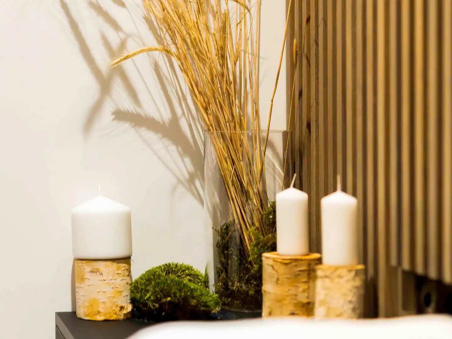 TRIBE Riga City Centre Wellness