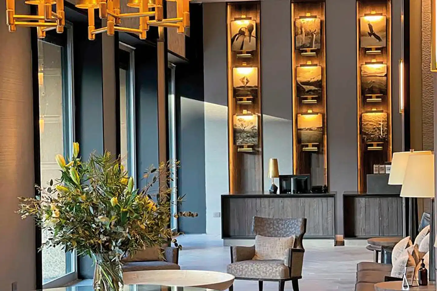 Cabo de Hornos Terrasse