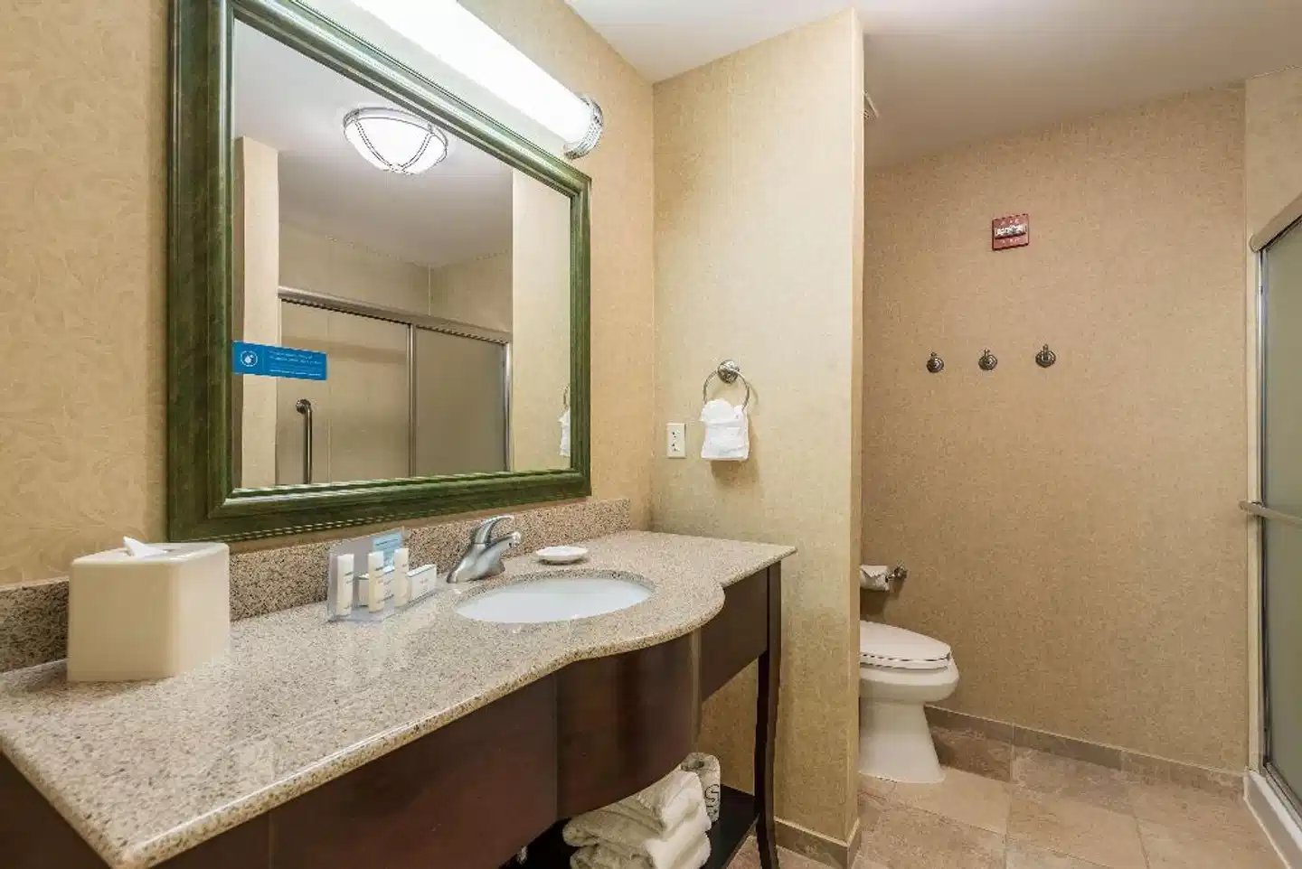 Hampton Inn & Suites Orlando-South Lake Buena Vista Badezimmer