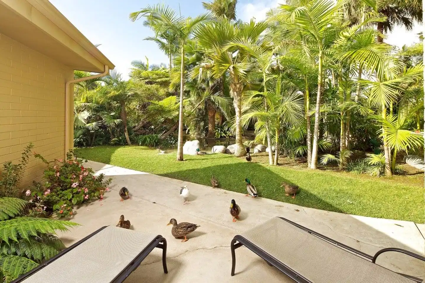 Bahia Resort Hotel Garten