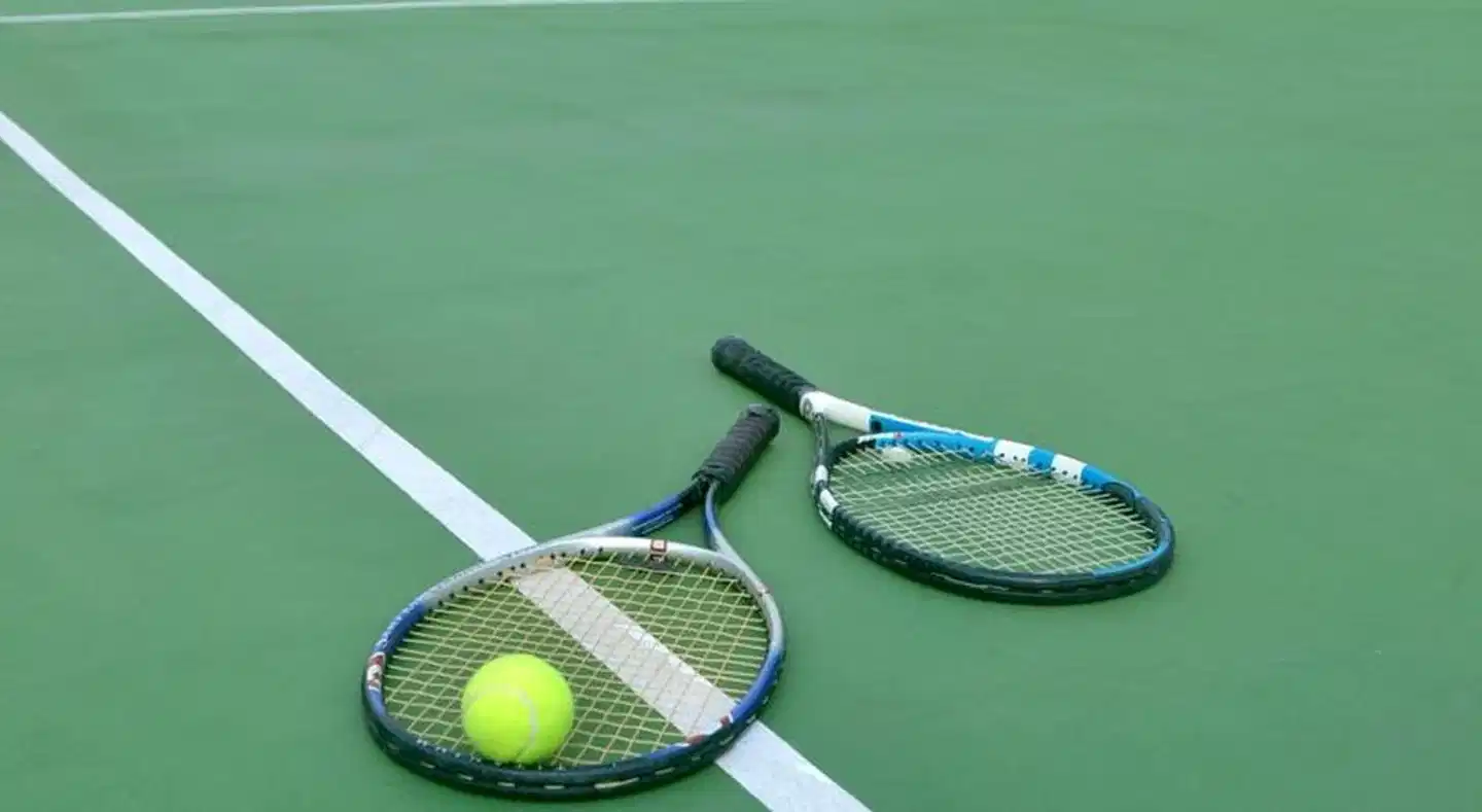 HARRIS Suites fX Sudirman Tiere