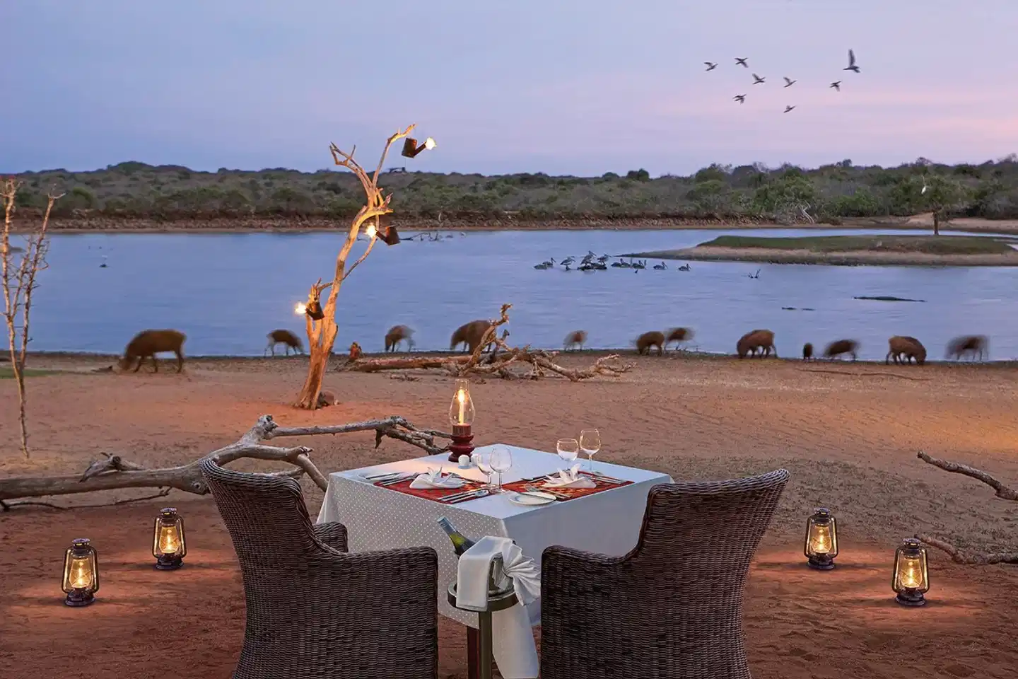 Cinnamon Wild Yala Restaurant