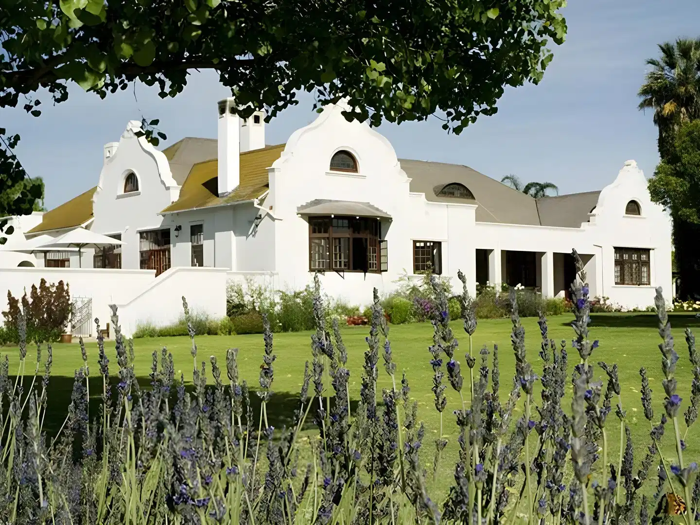 Excelsior Manor Guesthouse Aussenansicht