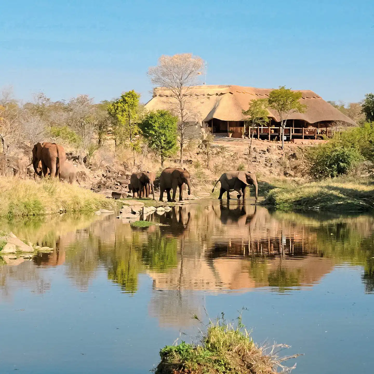 The Wallow Lodge Tiere