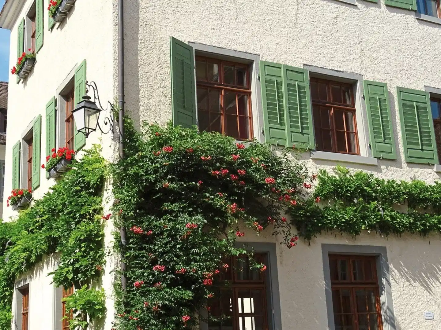 JUFA Hotel Meersburg Aussenansicht