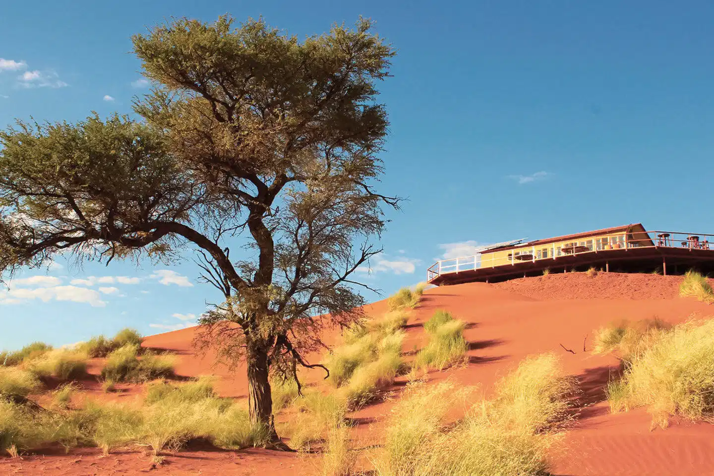 Namib Dune Star Camp Landschaft