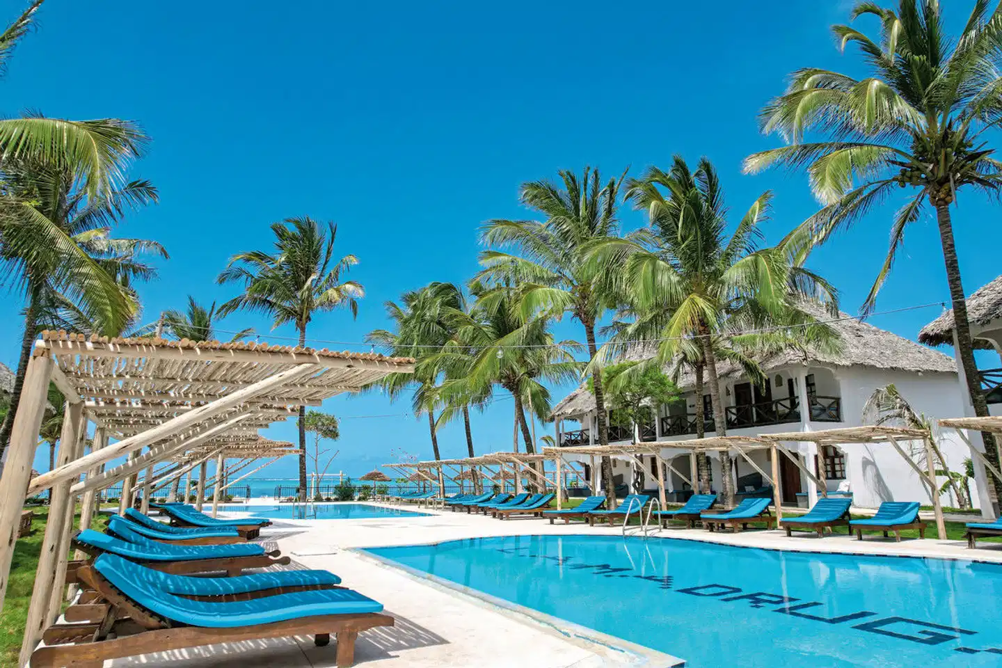 Nest Style Zanzibar Pool