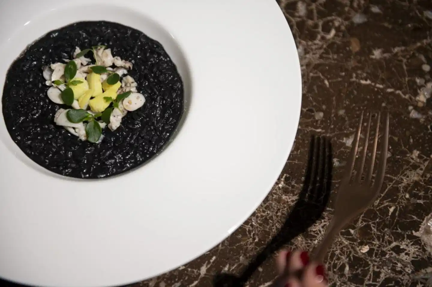 Hotel Nani Mocenigo Palace Tiere