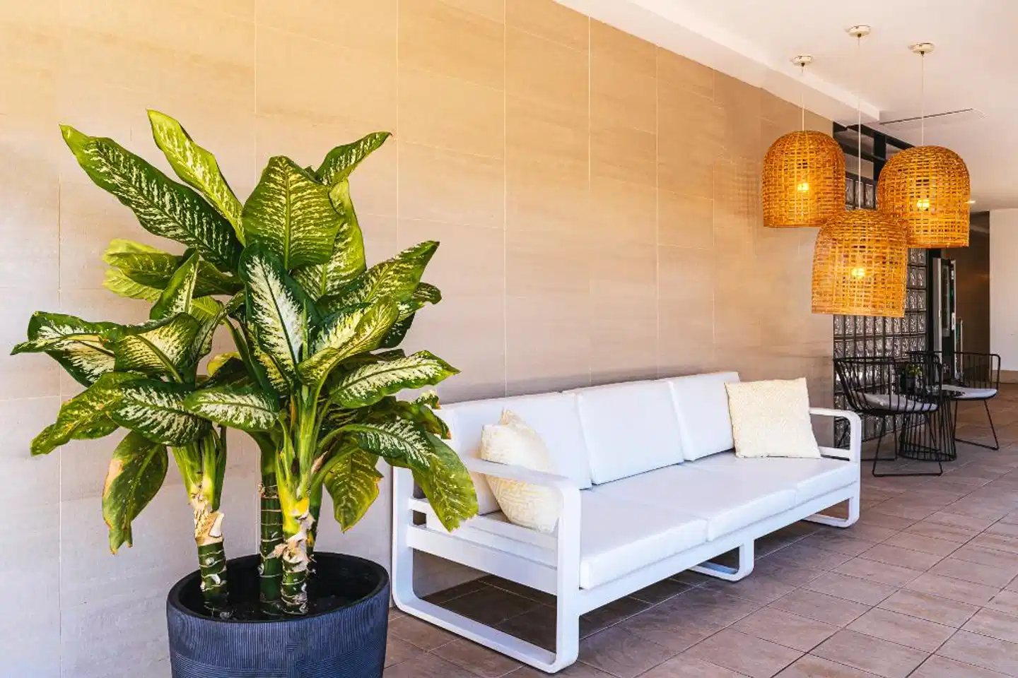 Cordial Muelle Viejo Lobby