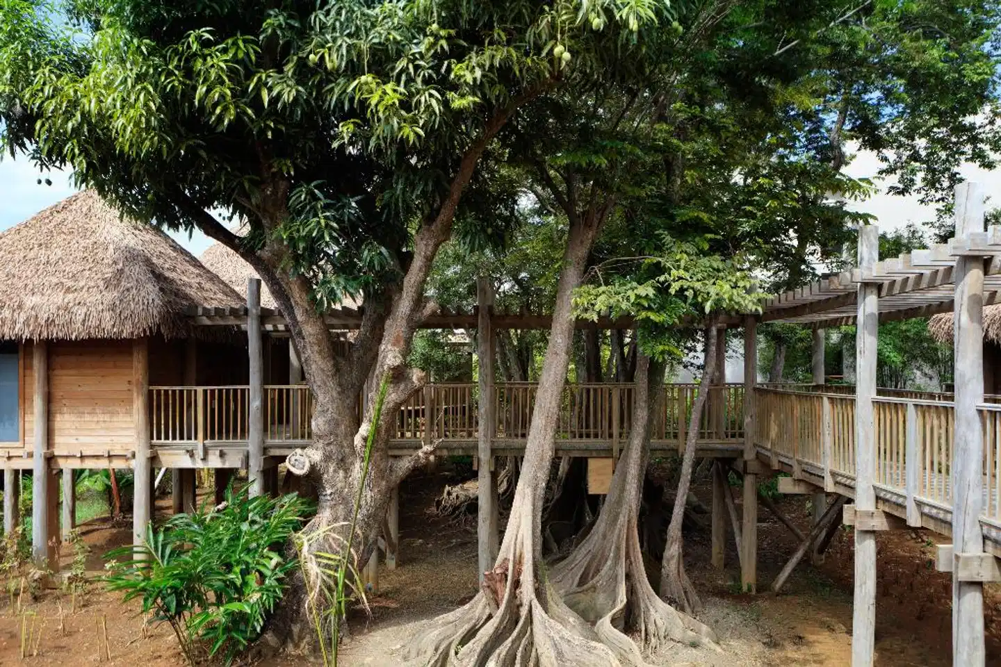 InterContinental Dominica Cabrits Resort & Spa Terrasse