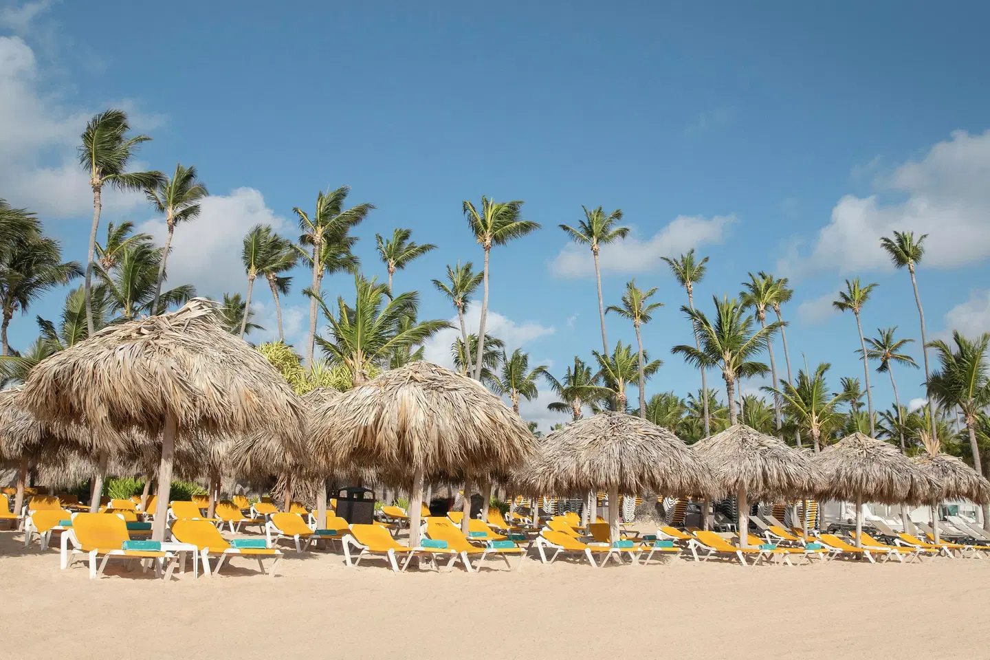 Iberostar Waves Dominicana Strand