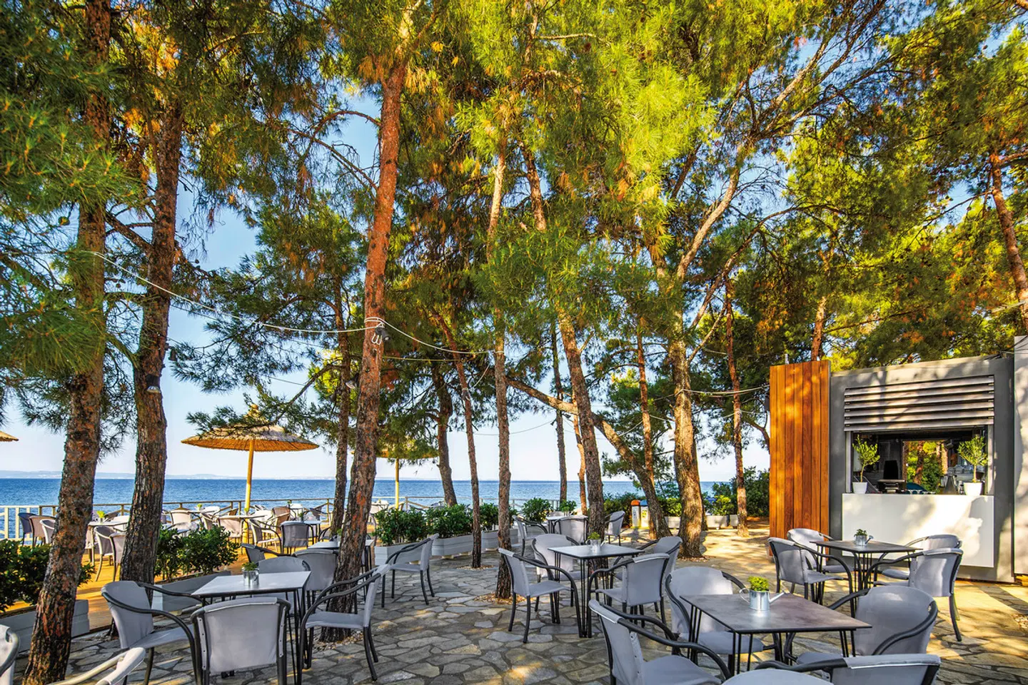 Blue Dolphin Terrasse