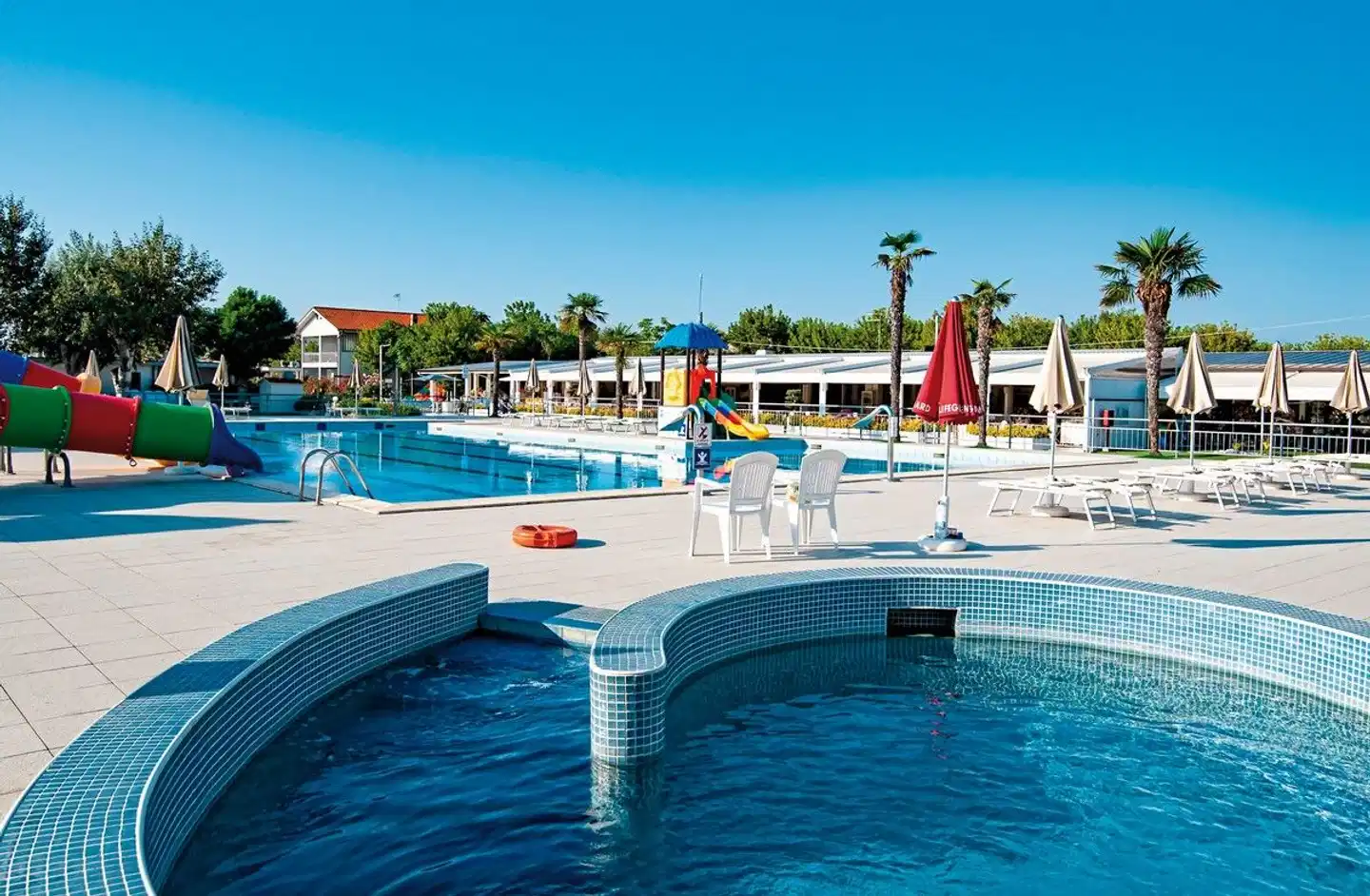 Stork Family Collection Pool