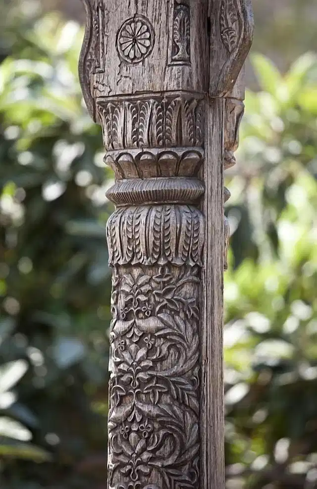 Spirit of the Knights Wellness