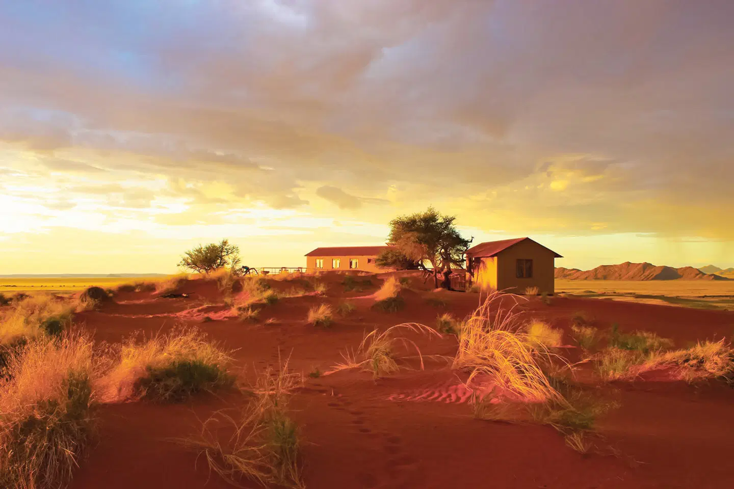 Namib Dune Star Camp Landschaft