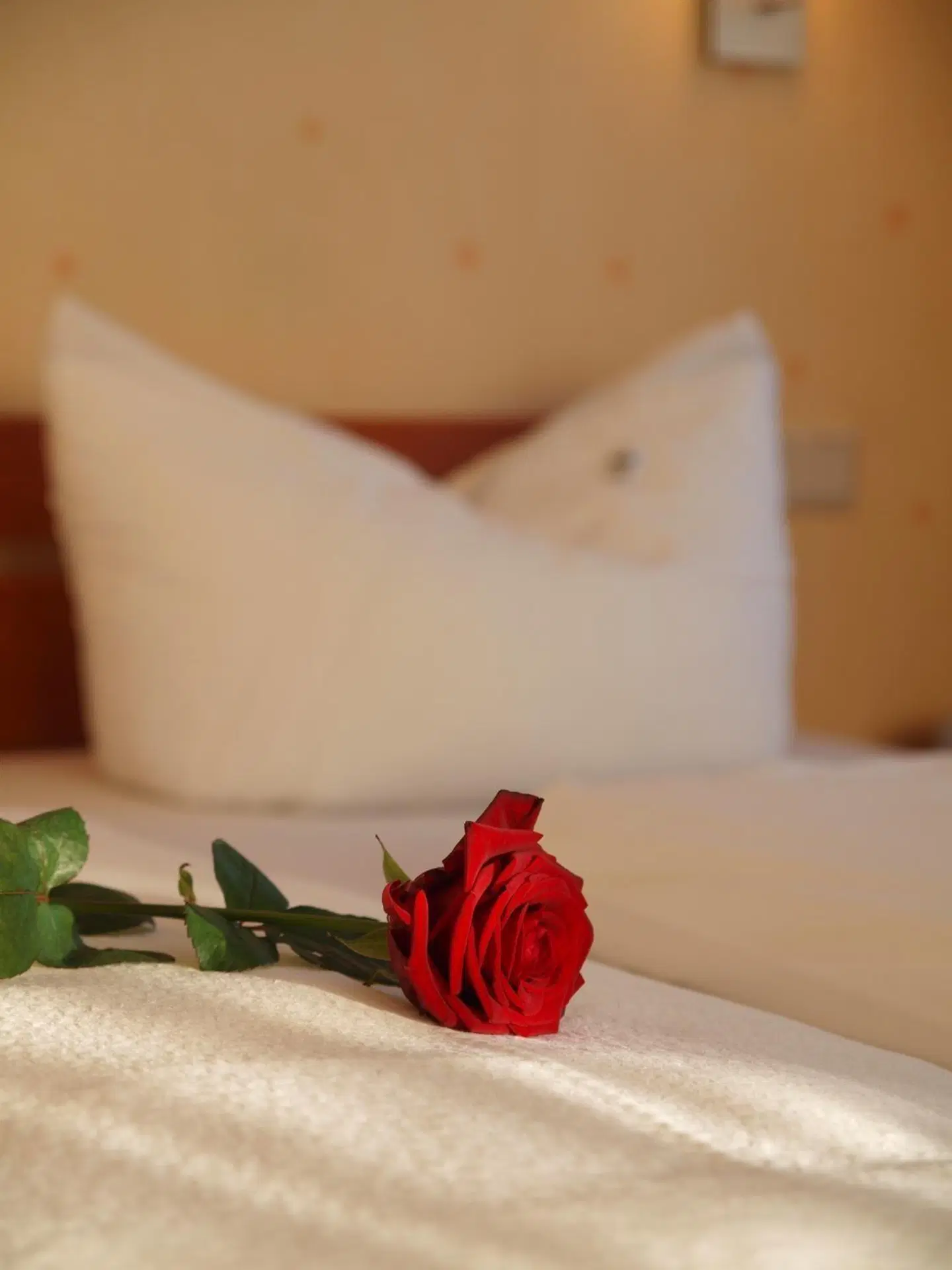 Altes Doktorhaus Wohnbeispiel