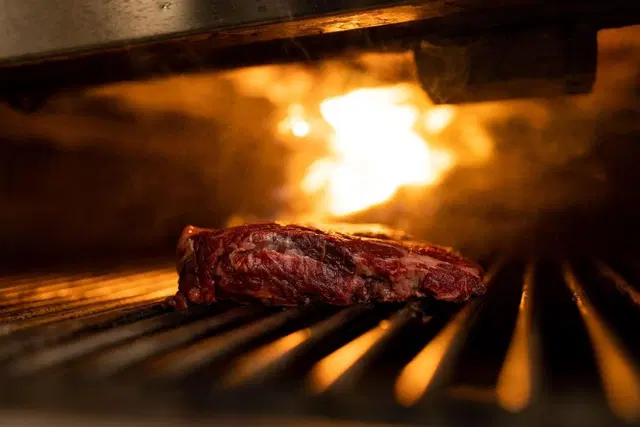 Heidelberg Marriott Hotel Landschaft