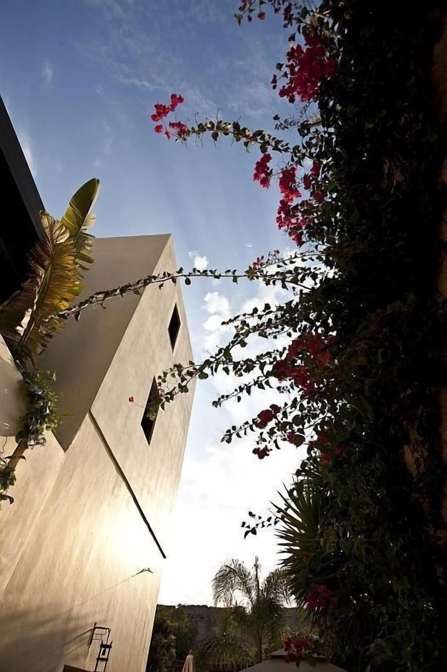 Spirit of the Knights Sport und Entertainment