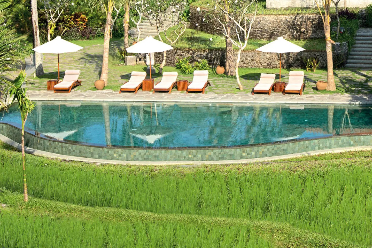 Alaya Ubud Pool