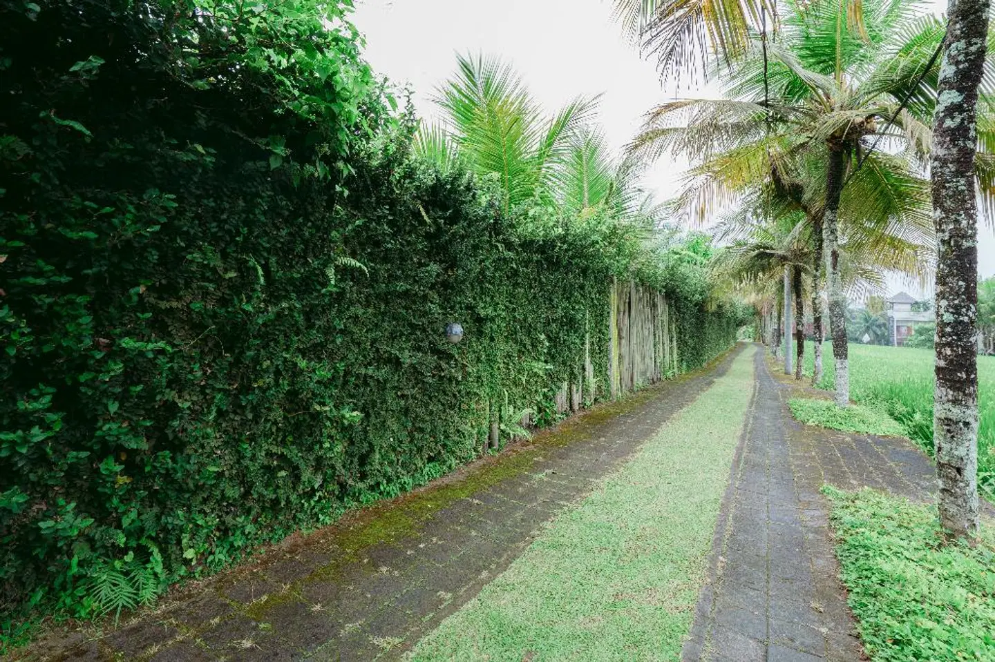 Pertiwi Bisma 1 Garten