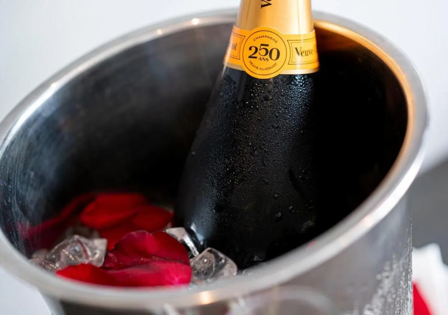 The Catalyst Hotel by NEWMARK Sport und Entertainment